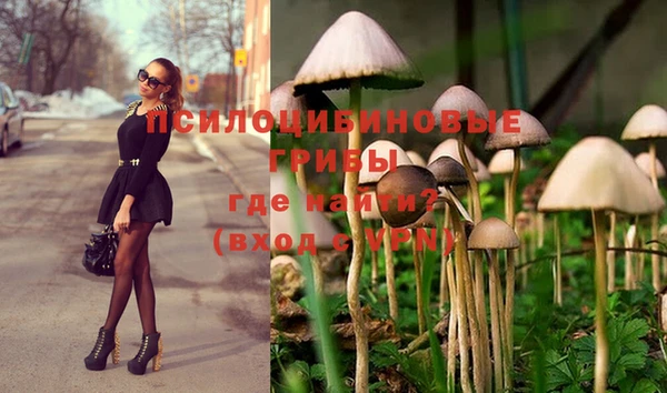 тгк Балахна