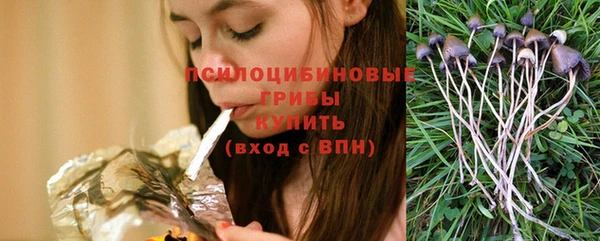 прущие крисы Армянск