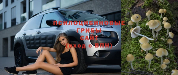 прущие крисы Армянск